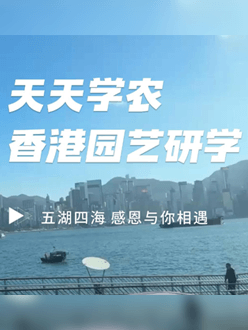 与香港园艺学会联合举办香港园艺研学，专业园境师带队讲解。